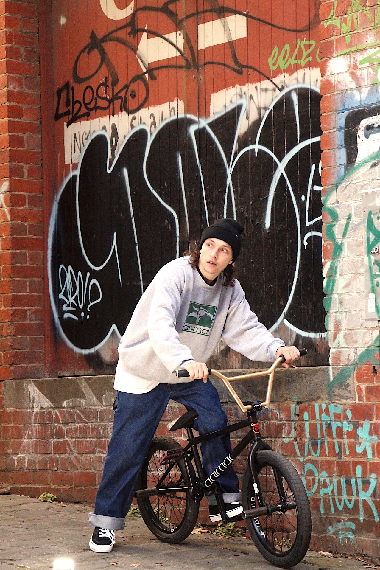 Animal hot sale bmx frame