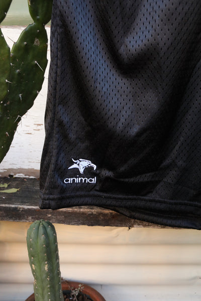 Anchor BMX -Animal Champion Shorts -CLOTHING -Anchor BMX