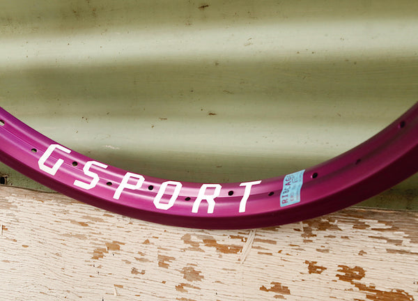 GSPORT -Gsport Ribcage Rim -Rims -Anchor BMX