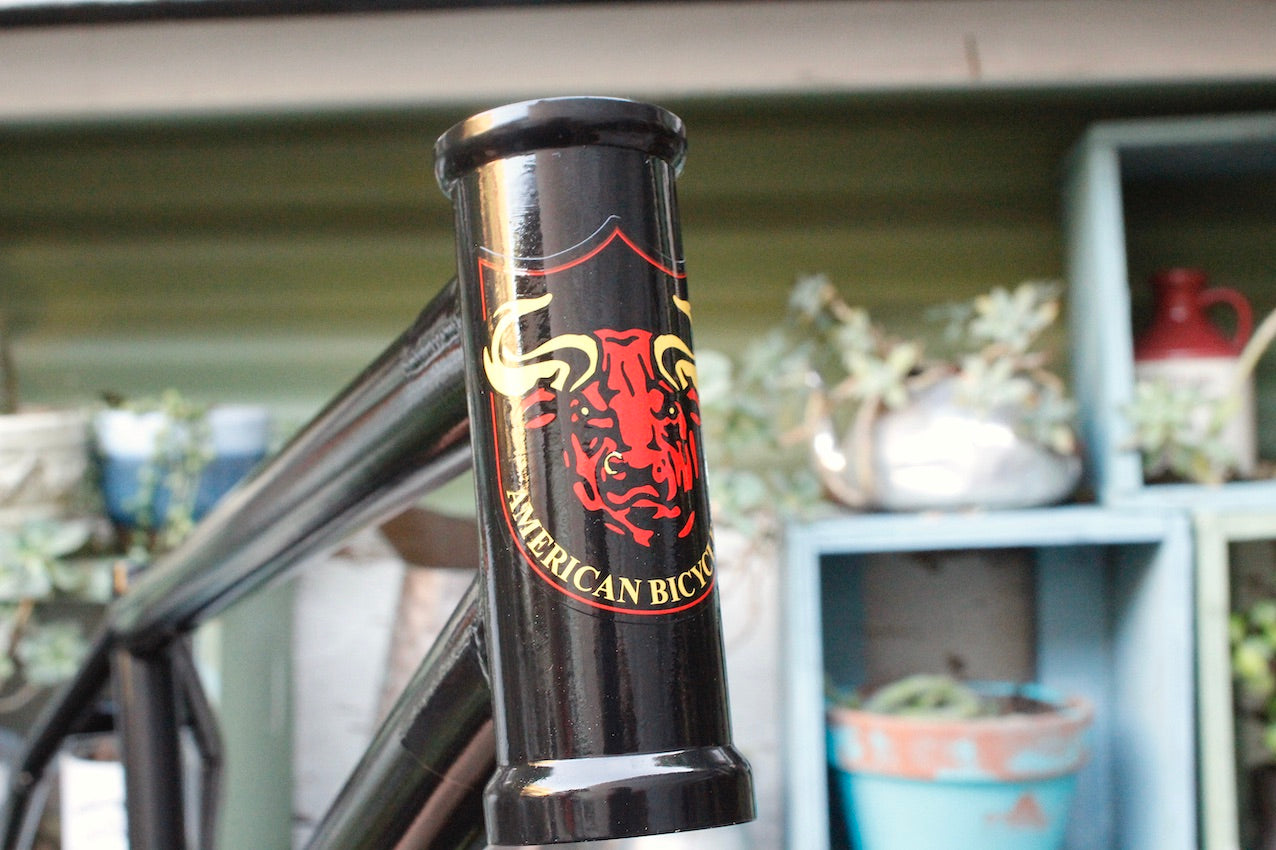 S M Bikes BTM Frame